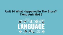 Unit 14: What Happened In The Story?