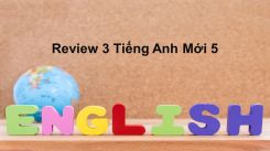 Review 3