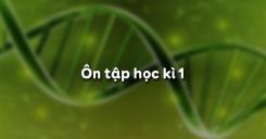 Bài 35: Ôn tập học kì 1