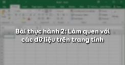 Bài thực hành 2: Làm quen với các dữ liệu trên trang tính