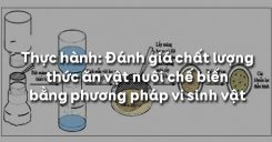 Bài 43: Thực hành: Đánh giá chất lượng thức ăn vật nuôi chế biến bằng phương pháp vi sinh vật