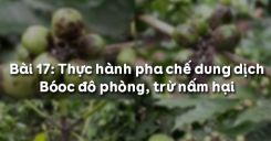 Bài 18: Thực hành pha chế dung dịch Boóc đô phòng, trừ nấm hại