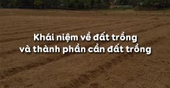 Bài 2: Khái niệm về đất trồng và thành phần cần đất trồng