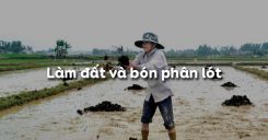 Bài 15: Làm đất và bón phân lót