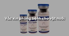 Bài 47: Vắc xin phòng bệnh cho vật nuôi