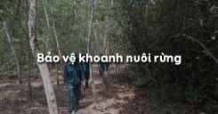 Bài 29: Bảo vệ và khoanh nuôi rừng