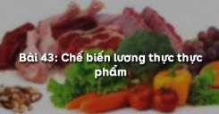 Bài 44: Chế biến lương thực thực phẩm