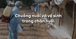 Bài 44: Chuồng nuôi và vệ sinh trong chăn nuôi