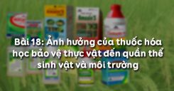 Bài 19: Ảnh hưởng của thuốc hóa học bảo vệ thực vật đến quần thể sinh vật và môi trường
