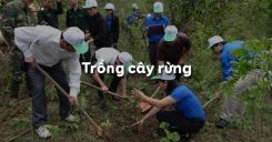 Bài 26: Trồng cây rừng