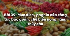 Bài 40: Mục đích, ý nghĩa của công tác bảo quản, chế biến nông, lâm, thủy sản