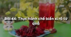 Bài 45: Thực hành chế biến si rô từ quả