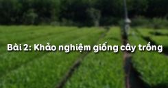 Bài 2: Khảo nghiệm giống cây trồng