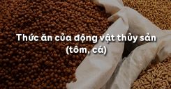 Bài 52: Thức ăn của động vật thủy sản (tôm, cá)