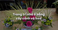 Bài 13: Cắm hoa trang trí