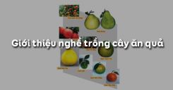 Bài 1: Giới thiệu nghề trồng cây ăn quả