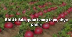 Bài 42: Bảo quản lương thực, thực phẩm