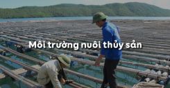 Bài 50: Môi trường nuôi thủy sản