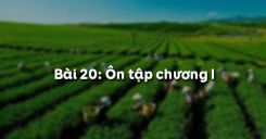 Bài 21: Ôn tập chương I