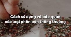 Bài 9: Cách sử dụng và bảo quản các loại phân bón thông thường