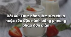 Bài 47: Thực hành làm sữa chua hoặc sữa đậu nành bằng phương pháp đơn giản