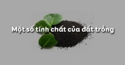 Bài 3: Một số tính chất của đất trồng