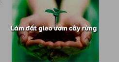 Bài 23: Làm đất gieo ươm cây rừng