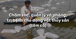 Bài 54: Chăm sóc, quản lý và phòng, trị bệnh cho động vật thủy sản (tôm cá)