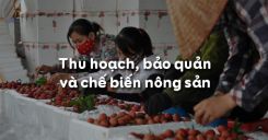 Bài 20: Thu hoạch, bảo quản và chế biến nông sản