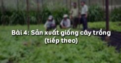Bài 4: Sản xuất giống cây trồng (tiếp theo)