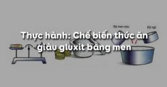 Bài 42: Thực hành: Chế biến thức ăn giàu gluxit bằng men