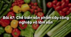 Bài 48: Chế biến sản phẩm cây công nghiệp và lâm sản