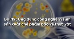 Bài 20: Ứng dụng công nghệ vi sinh sản xuất chế phẩm bảo vệ thực vật