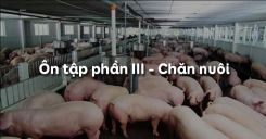 Ôn tập phần III: Chăn nuôi