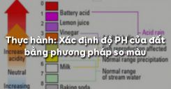 Bài 5: Thực hành: Xác định độ PH của đất bằng phương pháp so màu