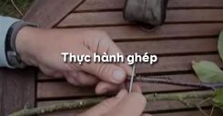 Bài 6: Thực hành ghép