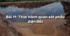 Bài 11: Thực hành quan sát phẫu diện đất