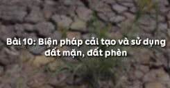 Bài 10: Biện pháp cải tạo và sử dụng đất mặn, đất phèn