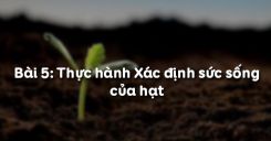 Bài 5: Thực hành Xác định sức sống của hạt
