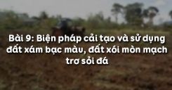 Bài 9: Biện pháp cải tạo và sử dụng đất xám bạc màu, đất xói mòn mạnh trơ sỏi đá