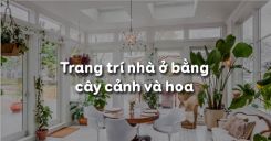 Bài 12: Trang trí nhà ở bằng cây cảnh và hoa