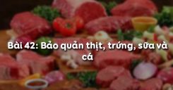 Bài 43: Bảo quản thịt, trứng, sữa và cá