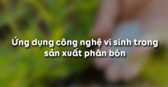 Bài 13: Ứng dụng công nghệ vi sinh trong sản xuất phân bón