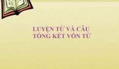 Luyện từ và câu: Tổng kết vốn từ