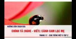 Chính tả Nghe - viết Cánh cam lạc mẹ