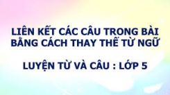 Luyện từ và câu: Liên kết các câu trong bài bằng cách lặp từ ngữ