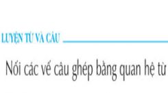 Luyện từ và câu: Nối các vế câu ghép bằng quan hệ từ