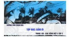 Tập đọc: Bầm ơi