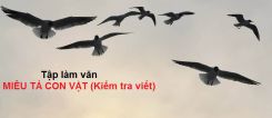 Tập làm văn: Miêu tả con vật