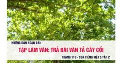 Tập làm văn: Trả bài văn tả cây cối